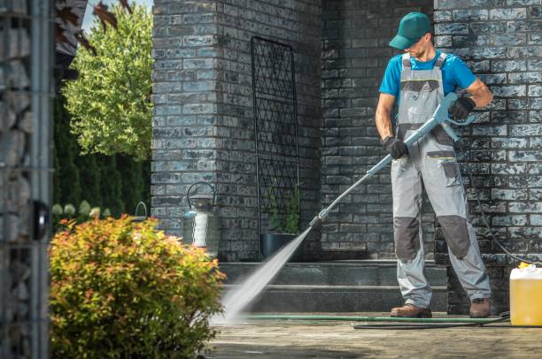 Boat and Dock Cleaning in Bluff City, TN