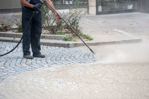 Best Roof Washing  in Bluff City, TN