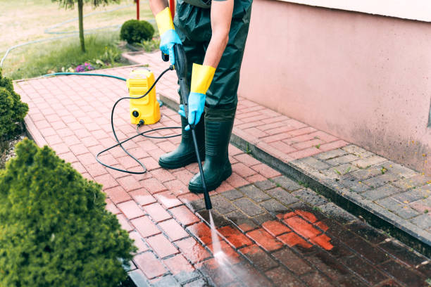 Animal Enclosure Cleaning in Bluff City, TN