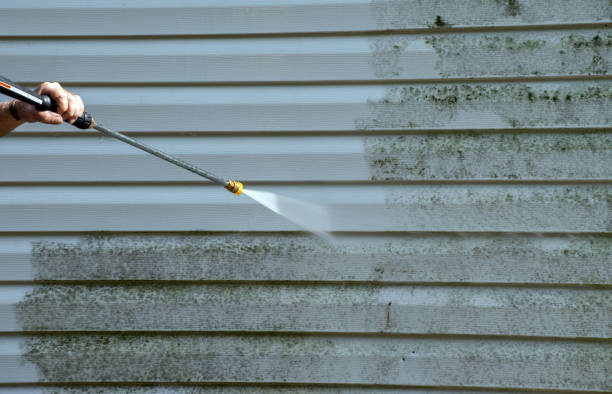 Best House Exterior Washing  in Bluff City, TN